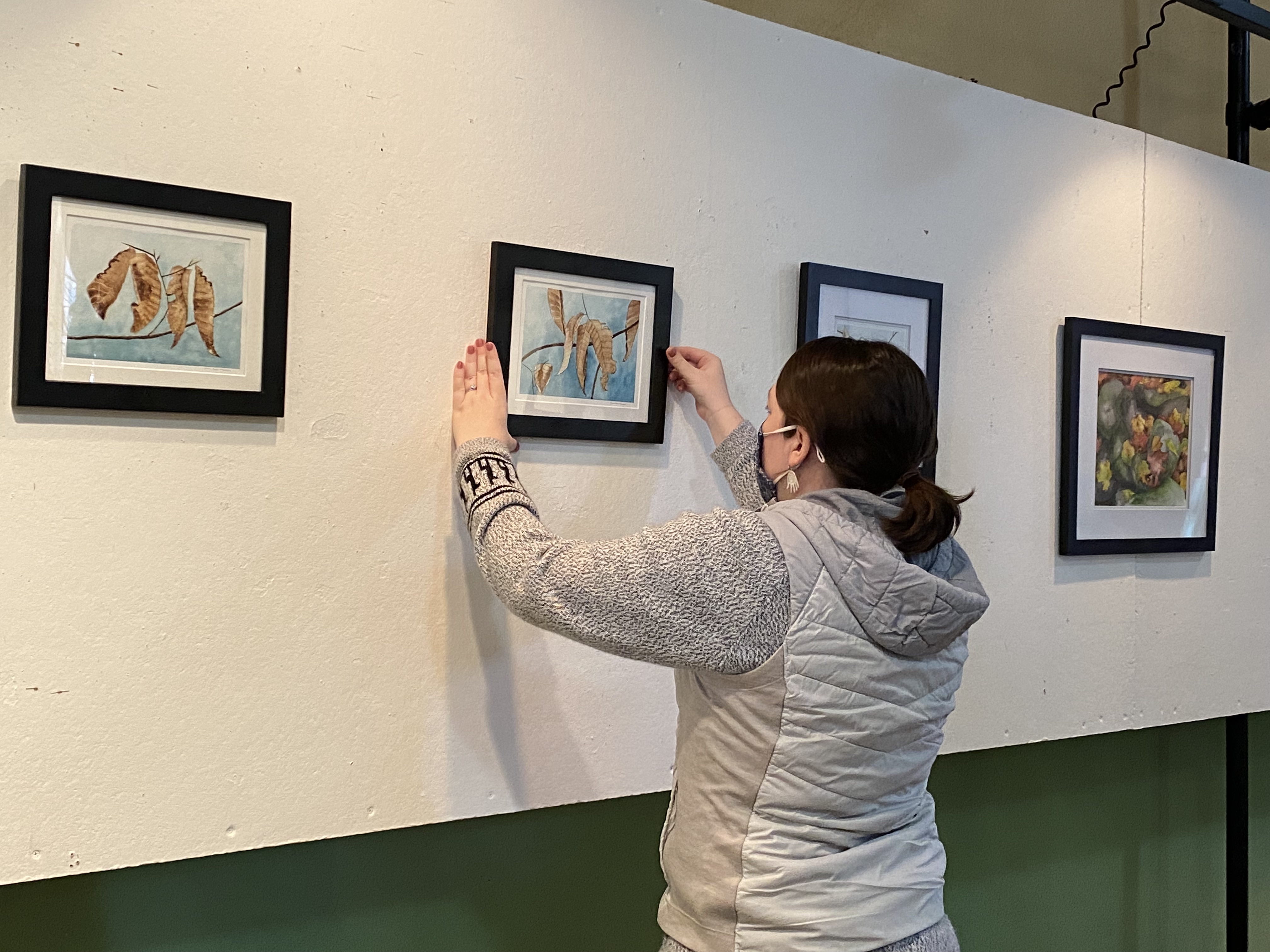 Artist Amy Hook Therrien, in knobby off white sweater with hoodie, faces the display panel in LNT Gallery space, back to the camera, to position watercolor with 4 brown leaves falling from a branch against a fall-blue sky